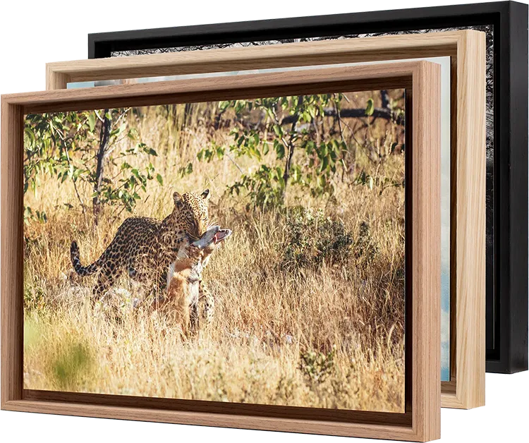 Caisse Américaine Tirage Fine Art sur Dibond® encadré en caisse américaine Caisse Américaine Tirage Fine Art sur Dibond® encadré en caisse américaine