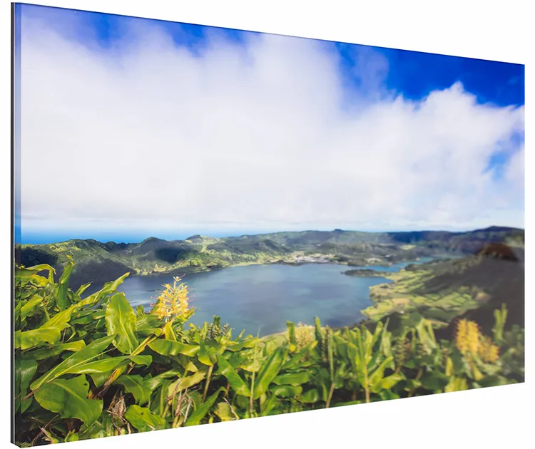 Plexi-collage Véritable tirage Fine Art collé entre une plaque de Plexiglas® et de Dibond® Plexi-collage Véritable tirage Fine Art collé entre une plaque de Plexiglas® et de Dibond®